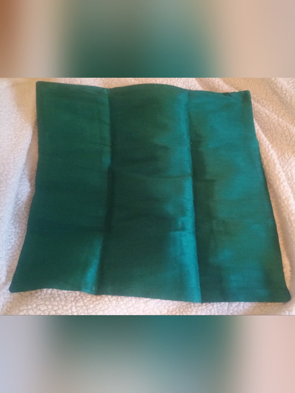 Set Of 2 Green Decorative Throw Pillow Cover - Home Accents